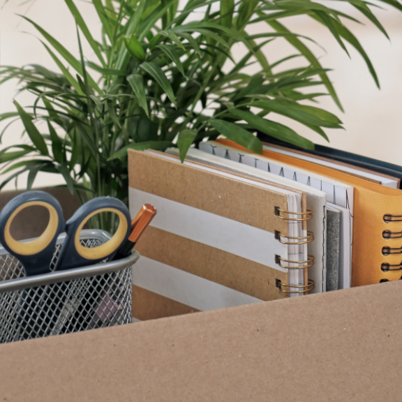 Umzugskarton mit Bürobedarf und Pflanze – Symbolbild für einen Arbeitsplatzumzug