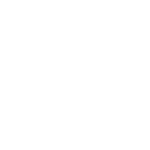 Ein Hund und eine Katze, die nebeneinander sitzen, symbolisiert den sicheren Transport von Haustieren.