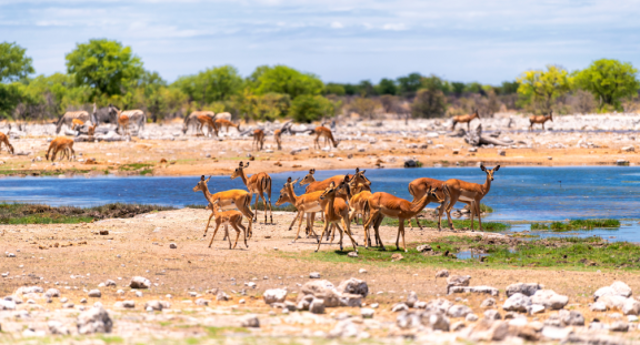 Auswandern Namibia: Klima