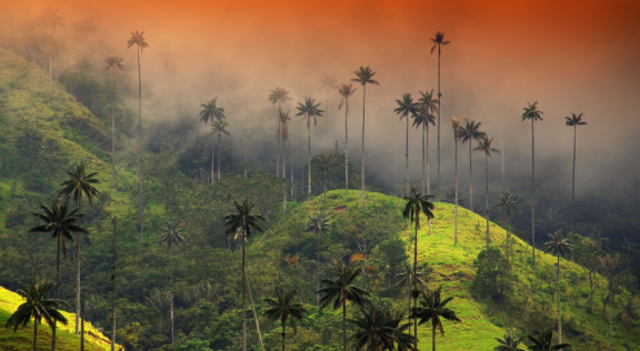 Auswandern nach Kolumbien: Klima