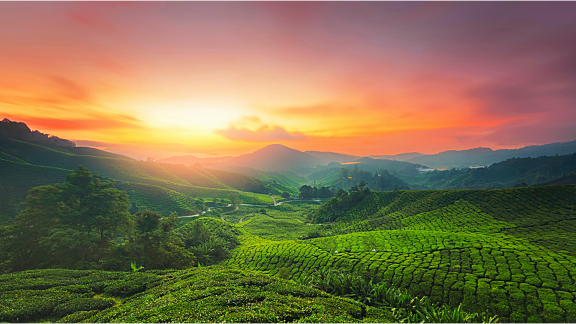 Auswandern in die Malaysia: Die Einzigartige Flagge der Dominikanischen Republik