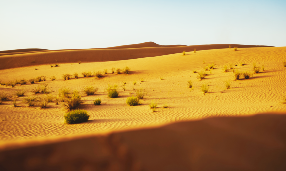 Auswandern nach Oman: Klima