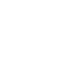 Icon: Weltkarte mit Markierungsfahnen – Kenntnis länderspezifischer Vorschriften