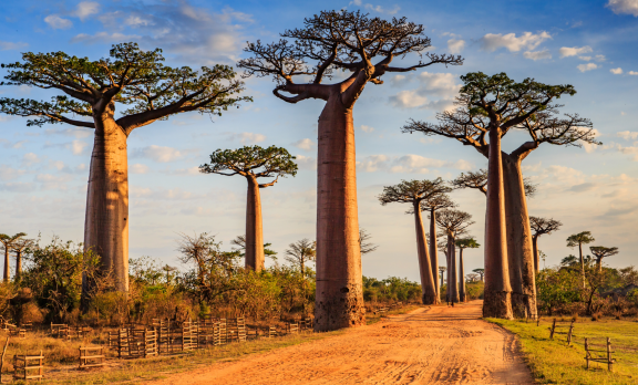 Auswandern nach Madagaskar: Klima