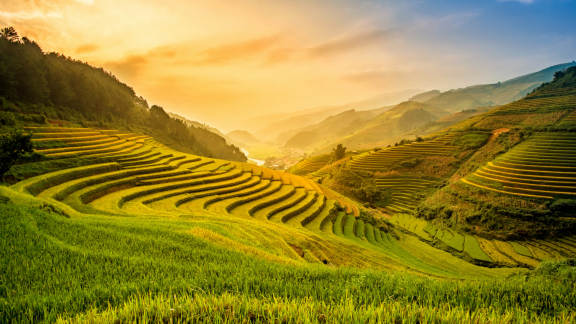 Auswandern nach Vietnam: Klima