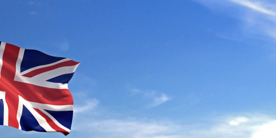 Flugzeug mit US-Flagge am Heck im Anflug – Symbol für Zollvorgaben und Einfuhrbestimmungen beim USA-Umzug.