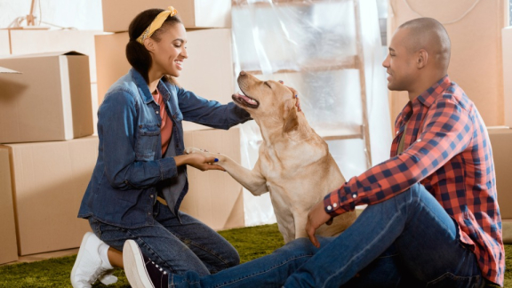 Paar mit Hund zwischen Umzugskartons in neuer Wohnung als Symbolbild für Tierumzug